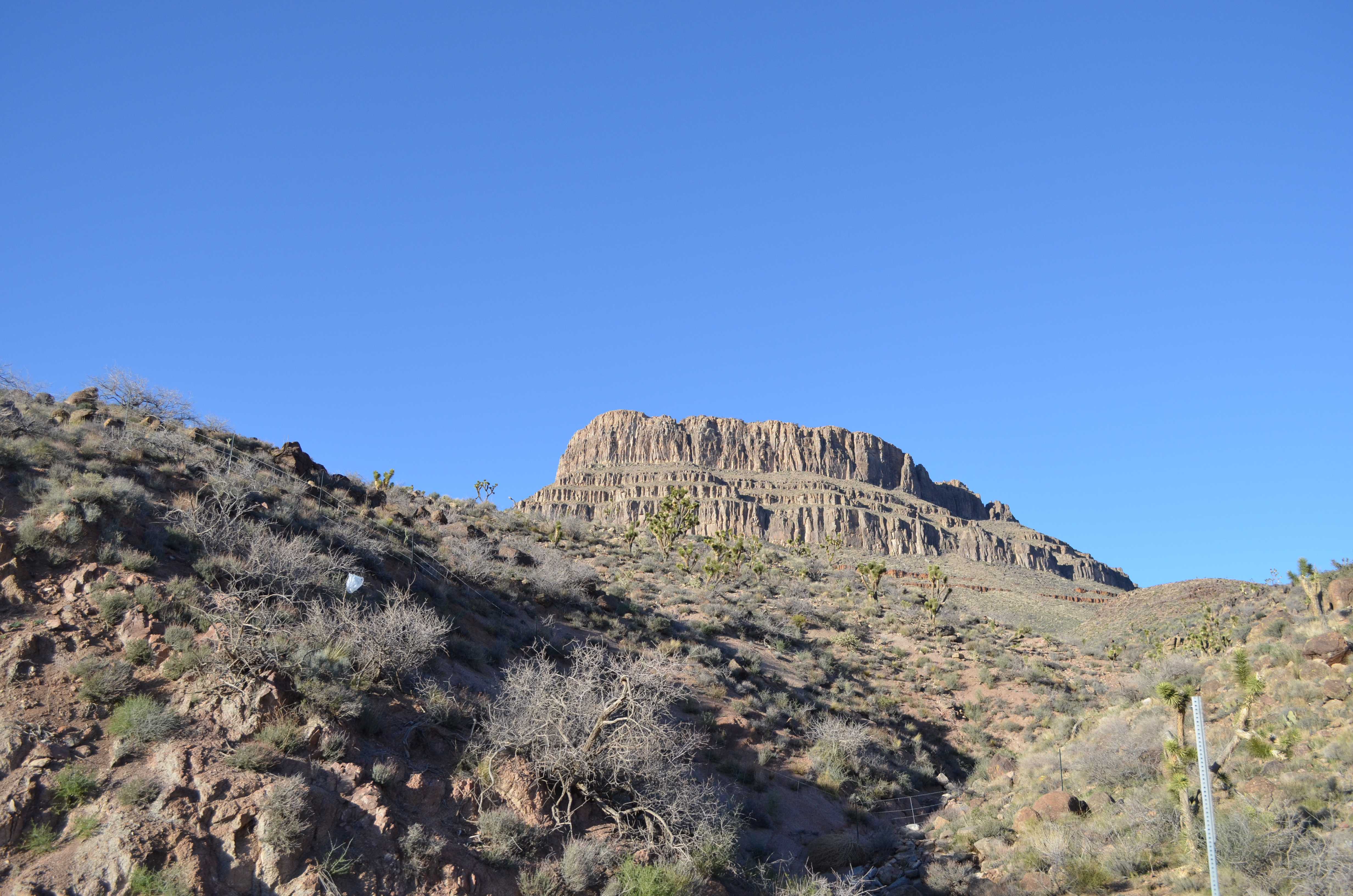 ./2016/04 - Las Vegas/Grand Canyon Skywalk/DSC_0400.JPG